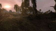 The Elder Scrolls Renewal: Skywind