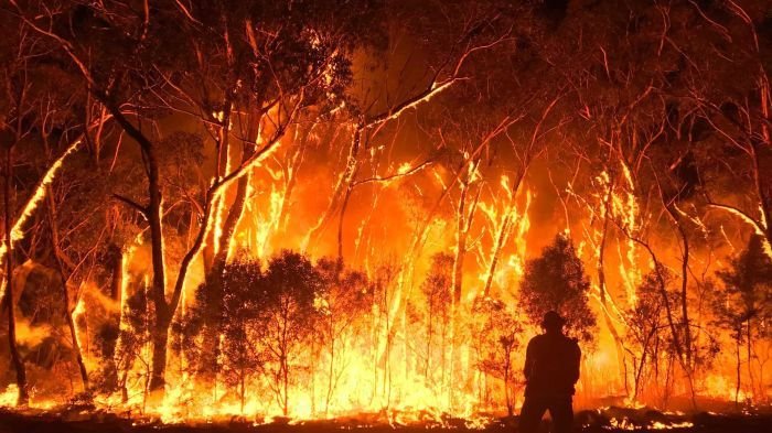 Nejen celebrity přispívají Austrálii. Už i herní studia pomáhají s krocením požárů