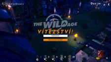 The Wild Age