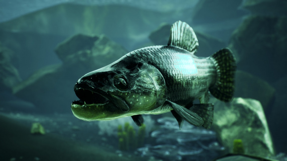 Při rybaření v simulátoru The Catch si zapněte intenzivní mód