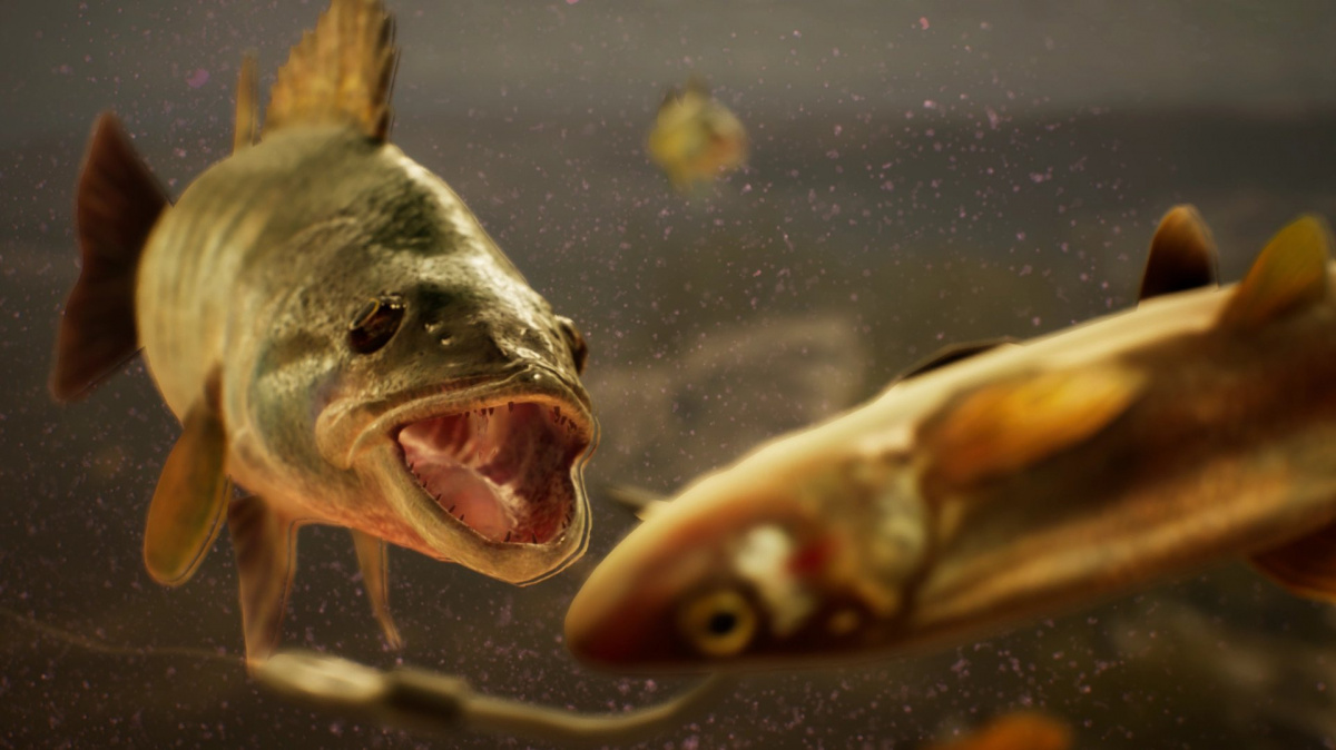 Může být simulátor rybaření cool? Po zhlédnutí traileru The Catch už nebudete pochybovat