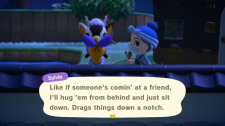 Animal Crossing: New Horizons