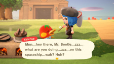 Animal Crossing: New Horizons