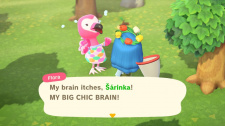 Animal Crossing: New Horizons
