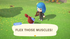 Animal Crossing: New Horizons