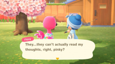 Animal Crossing: New Horizons