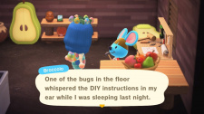 Animal Crossing: New Horizons