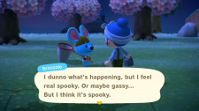 Animal Crossing: New Horizons