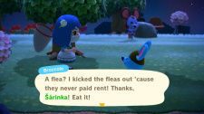 Animal Crossing: New Horizons