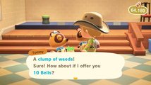 Animal Crossing: New Horizons weeds