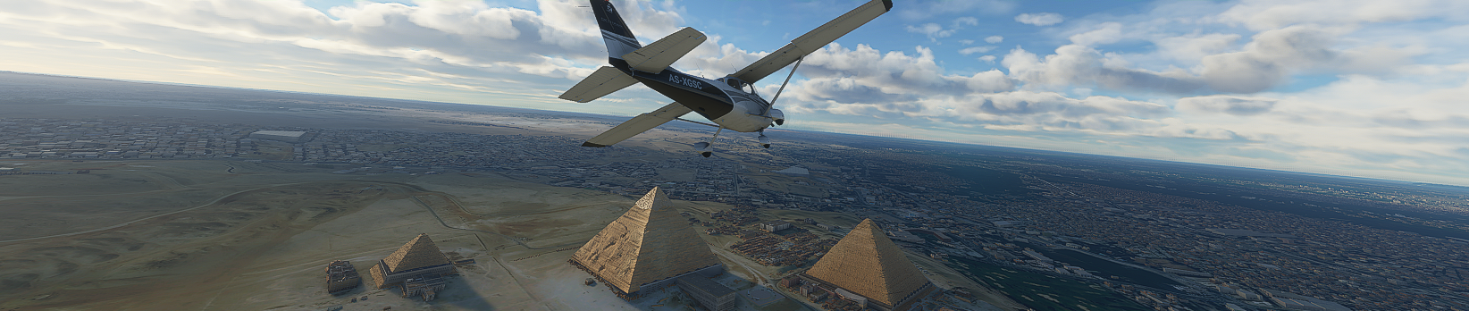 Microsoft Flight Simulator leak