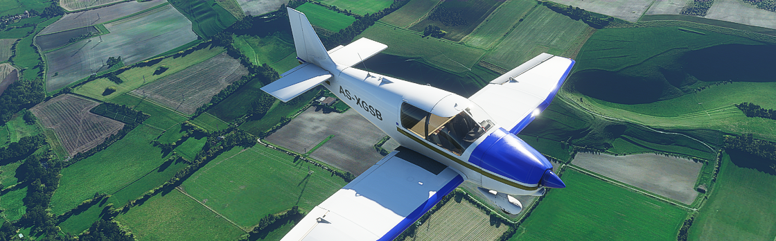 Microsoft Flight Simulator leak