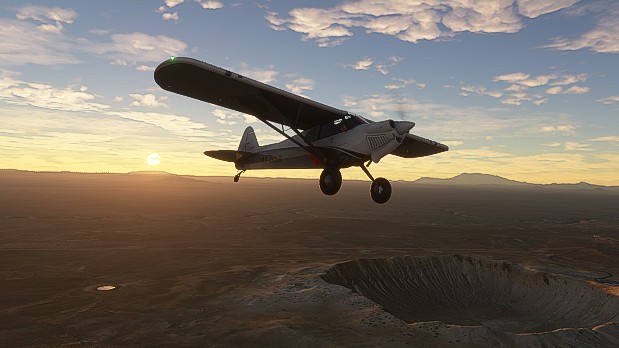 Microsoft Flight Simulator leak