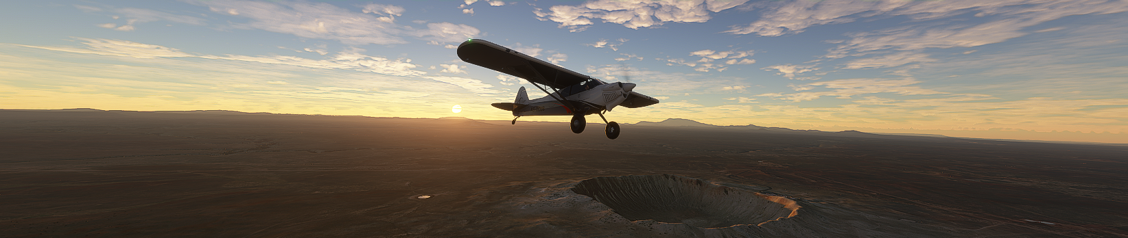 Microsoft Flight Simulator leak
