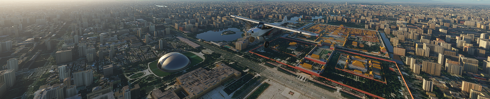 Microsoft Flight Simulator leak