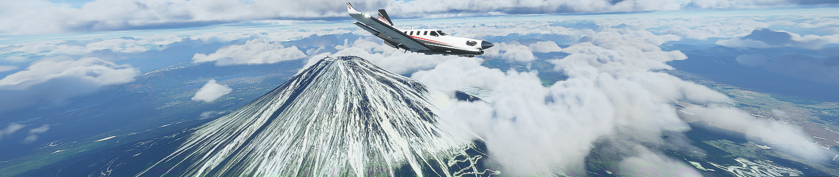 Microsoft Flight Simulator leak