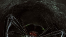 Euthia: Torment of Resurrection - ilustrace Iveta Doležalová