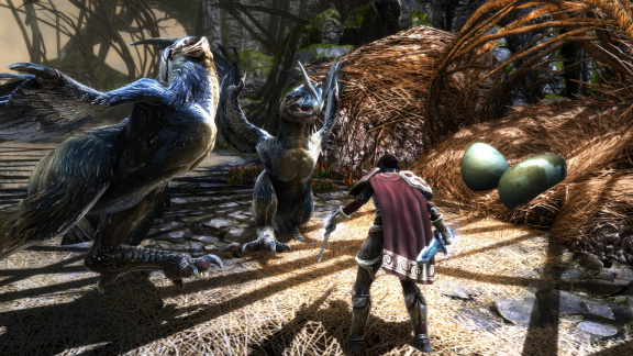 Remaster RPG Kingdoms of Amalur: Reckoning dostane nové rozšíření