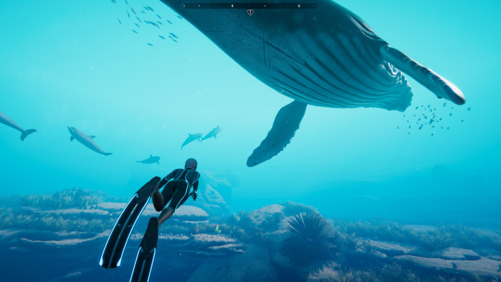 Beyond Blue – recenze