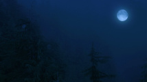 Werewolf: The Apocalypse - Heart of the Forest
