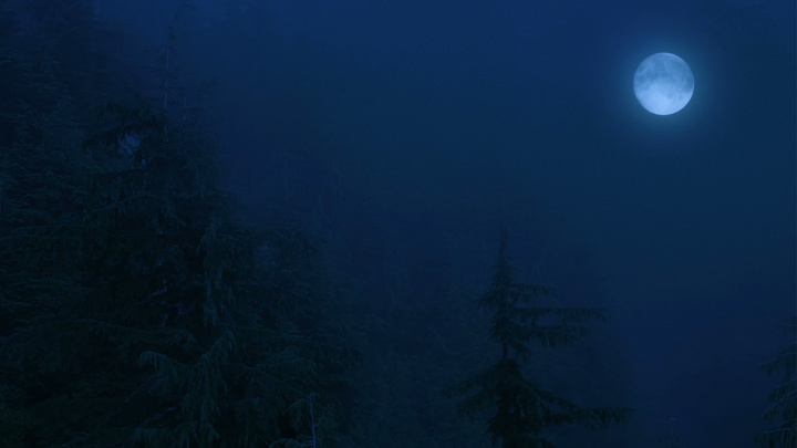 Bývalí tvůrci Zaklínače pracují na Werewolf: The Apocalypse – Heart of the Forest