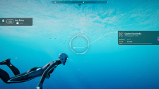 Beyond Blue