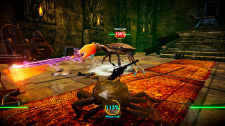 Fight Crab
