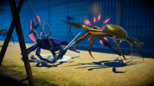 Fight Crab