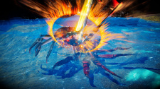Fight Crab