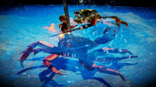 Fight Crab