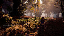 Horizon Zero Dawn PC verze (vlastní obrázky)