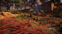 Horizon Zero Dawn PC verze (vlastní obrázky)