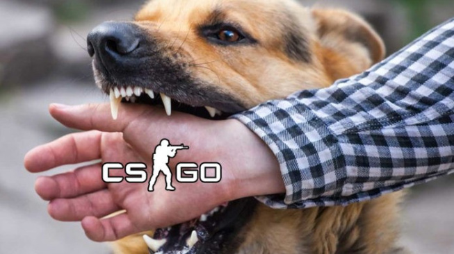 Na hráče CS:GO zaútočil během zápasu pes