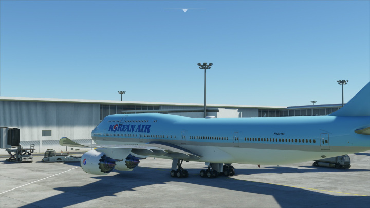 Microsoft Flight Simulator