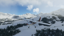 Microsoft Flight Simulator