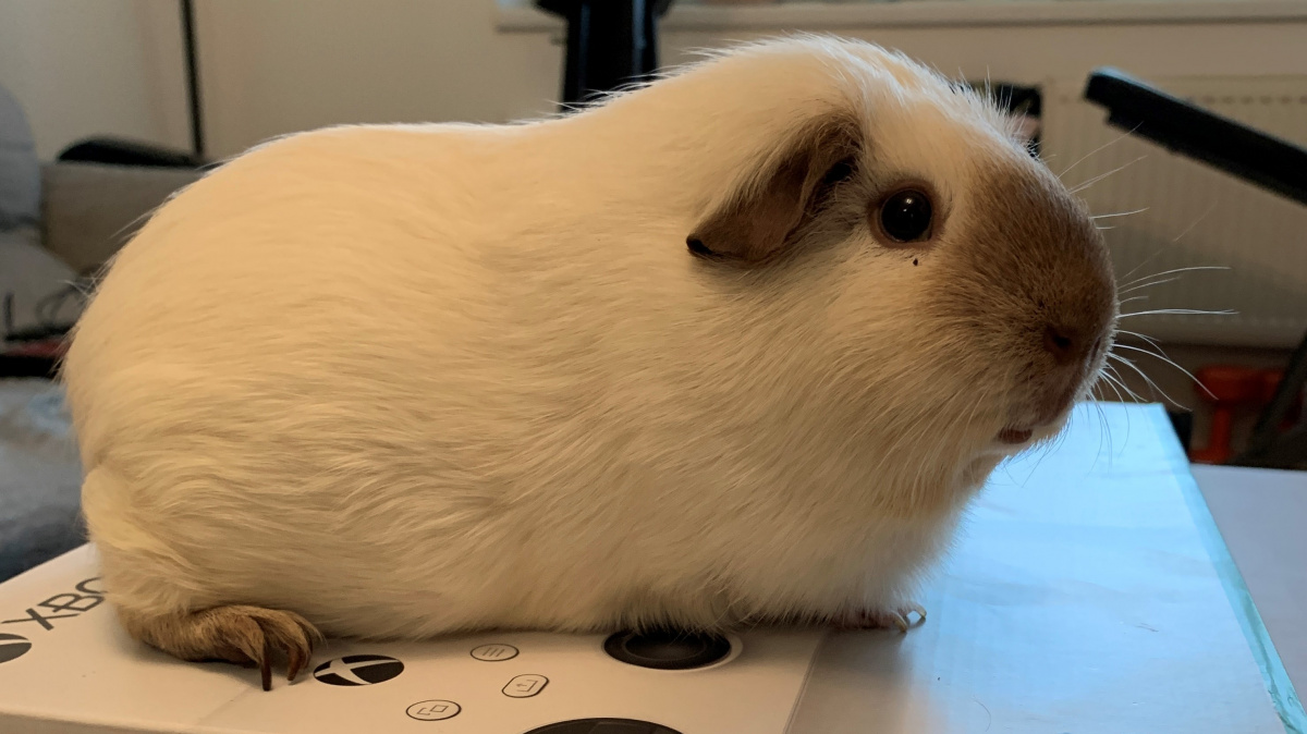 Xbox Series S v redakci: Jak vypadá nejmenší konzole od Microsoftu?