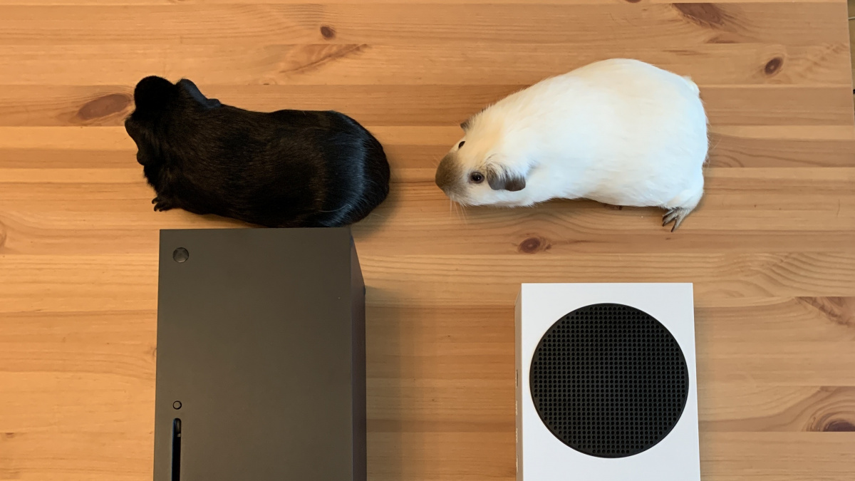 Dej mi ty hry, Microsofte, jsem připravený. Už skoro deset let