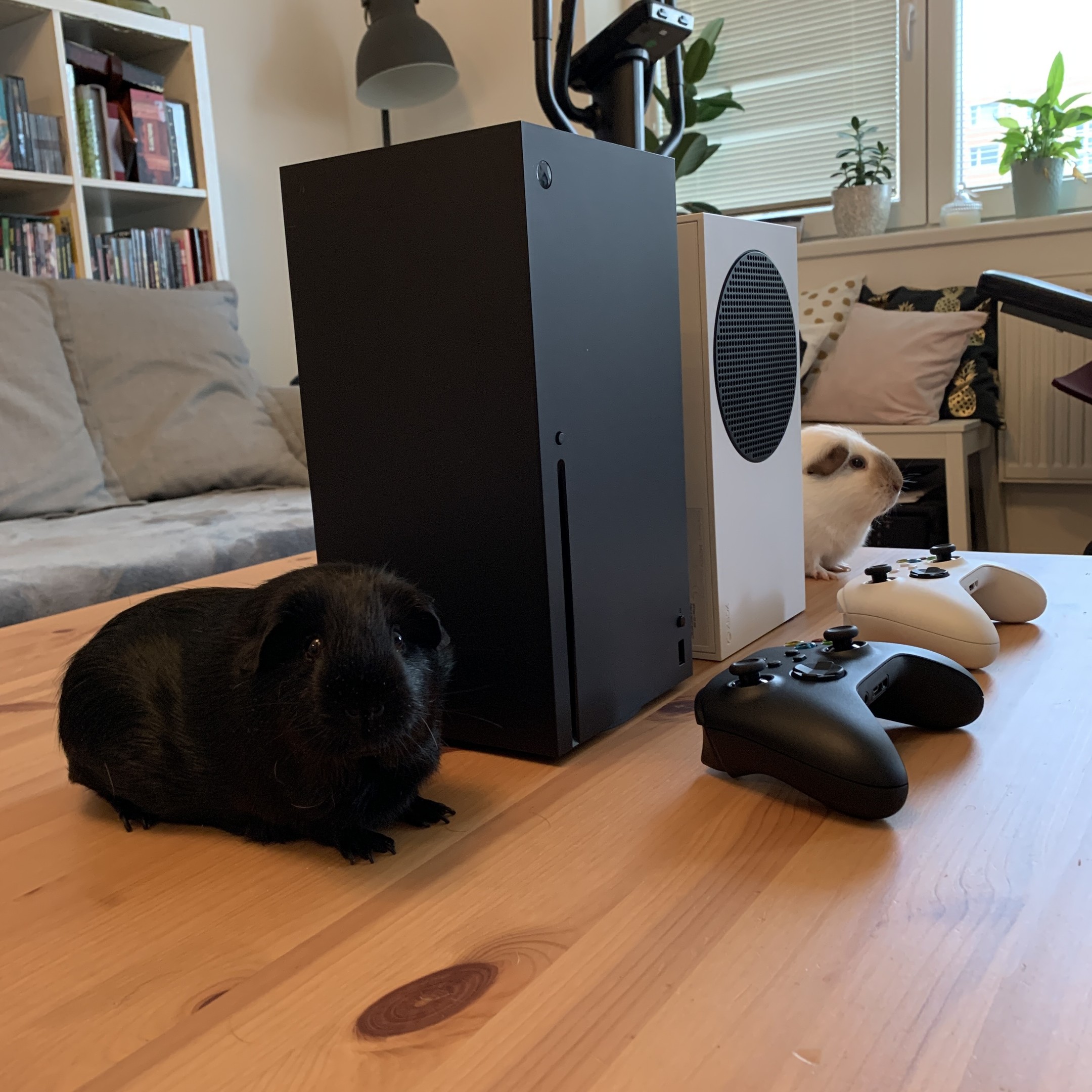 Xbox Series X