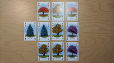 Arboretum