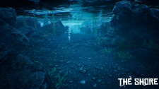The Shore