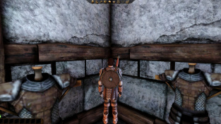 Dragon Age: Origins - textury