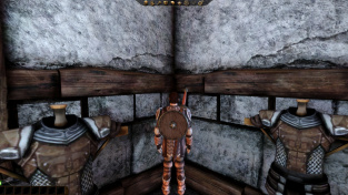 Dragon Age: Origins - textury
