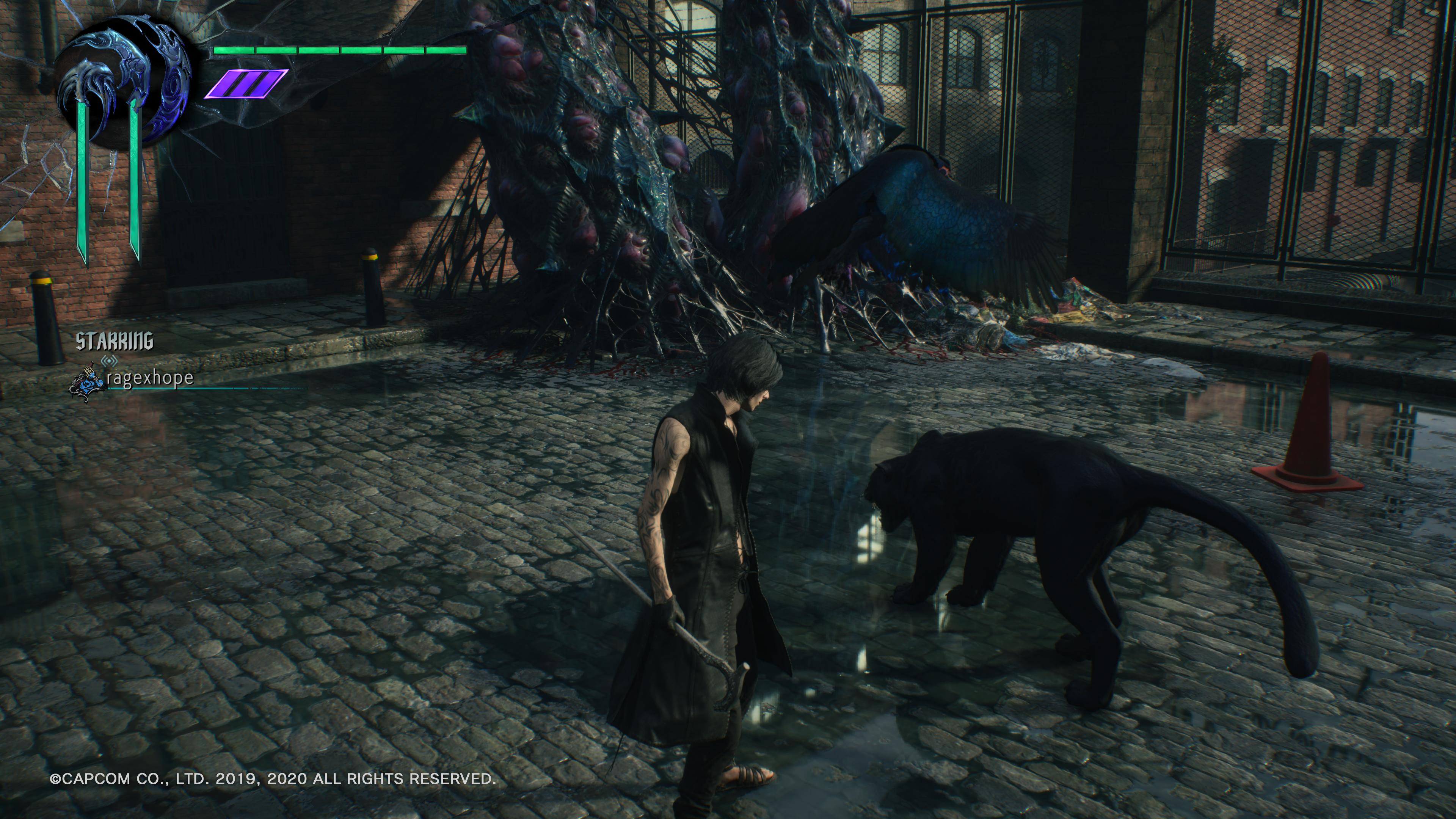 Devil May Cry 5 Special Edition