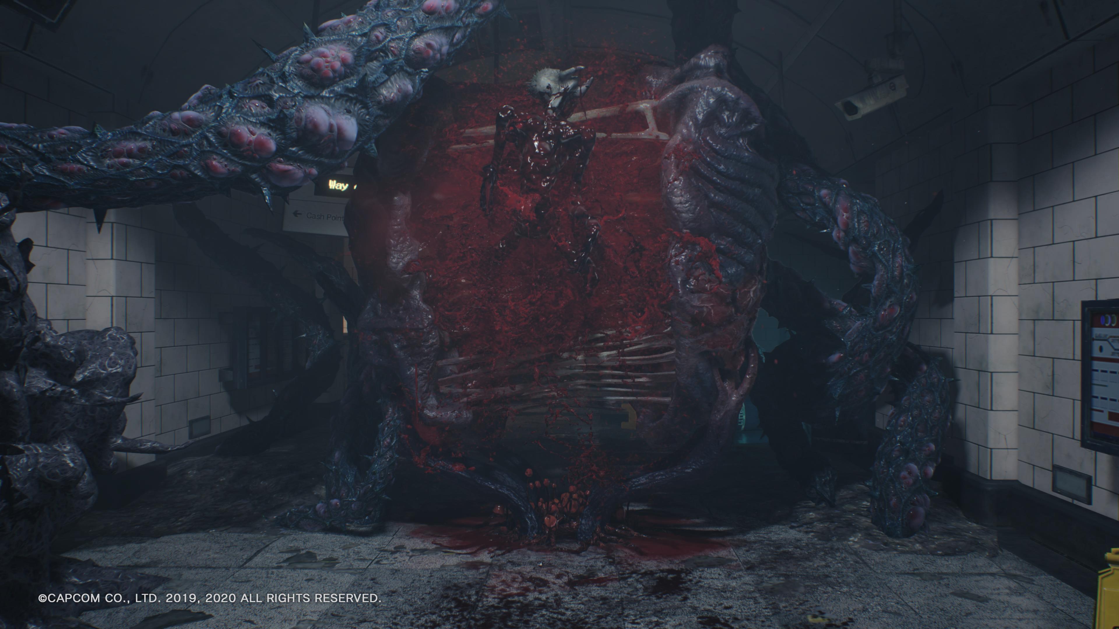 Devil May Cry 5 Special Edition