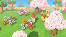 Animal Crossing: New Horizons
