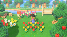 Animal Crossing: New Horizons