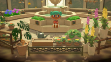 Animal Crossing: New Horizons