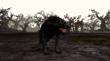 Age of the Ring