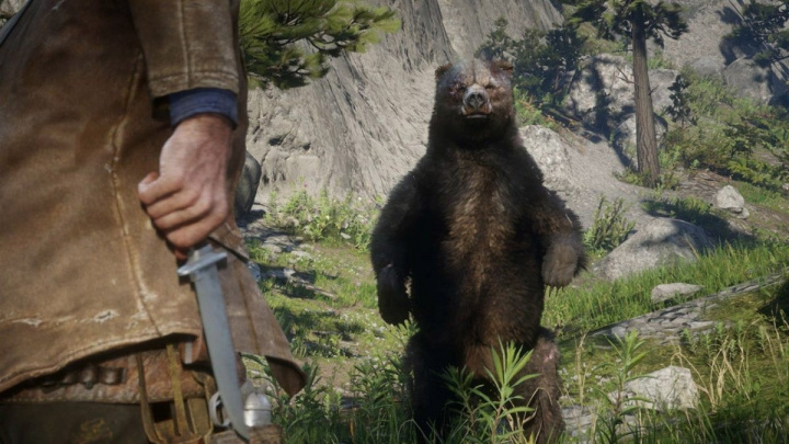 Red Dead Redemption 2 vás naučí poznávat zvířata, ukázala studie
