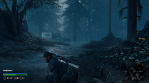 Days Gone PC verze